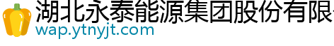 湖北永泰能源集团股份有限公司